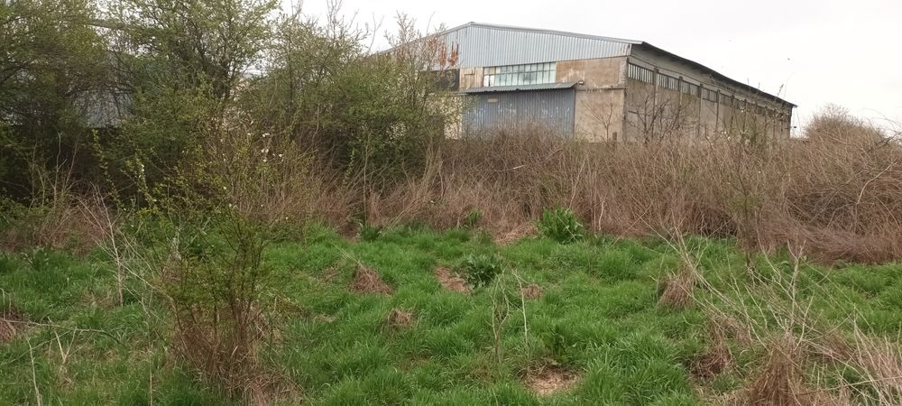 Teren intravilan arabil 3846 mp, Topraisar.Zona buna,sub pretul pietei