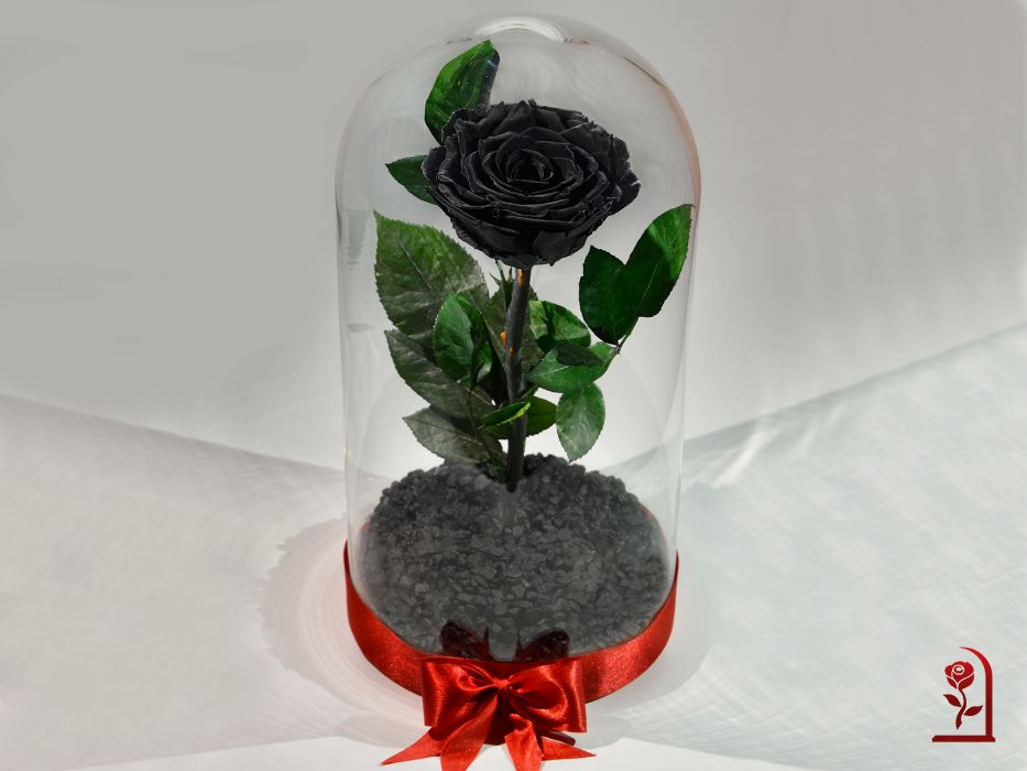 Естествена ЧЕРНА Вечна Роза в Стъкленица / Подарък за Свети Валентин