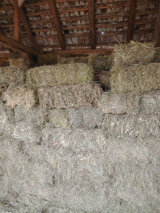 Baloți lucernă și otava