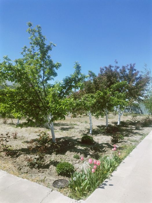 Продается частный дом