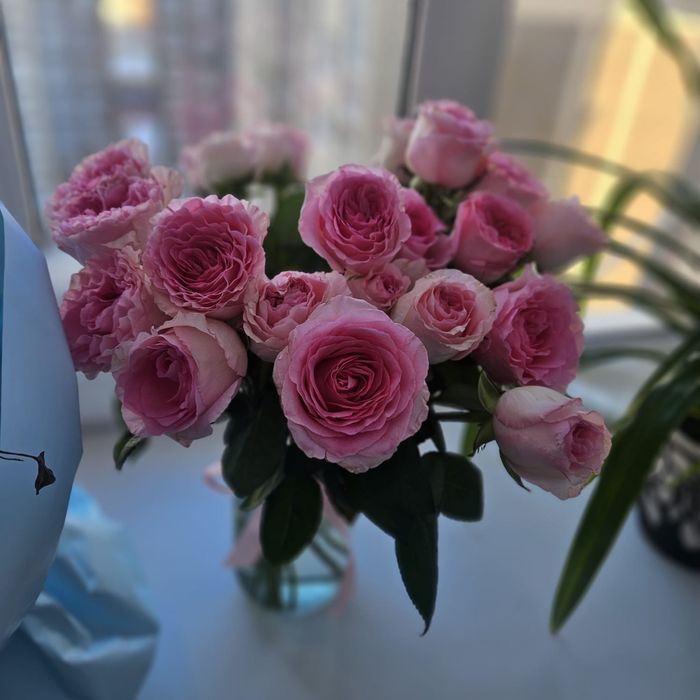 Продам два букета свежих роз