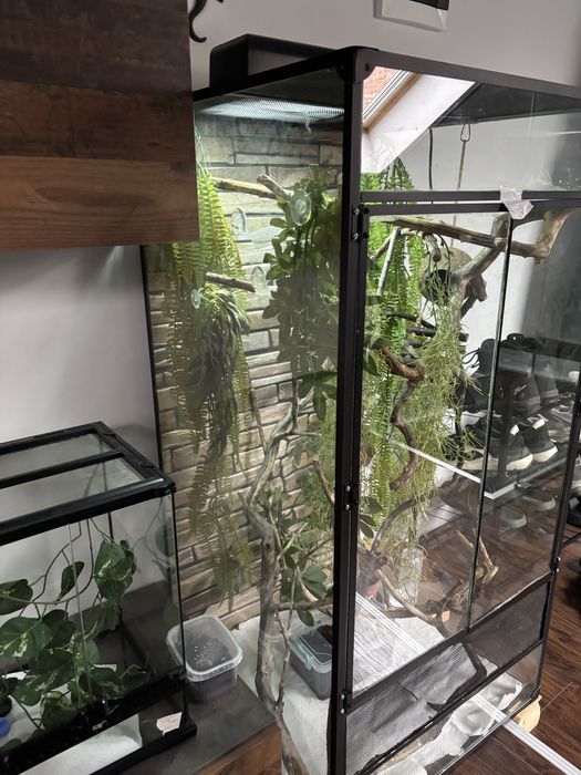 Vand terrariu de dimensiuni 60.5x60.5x123