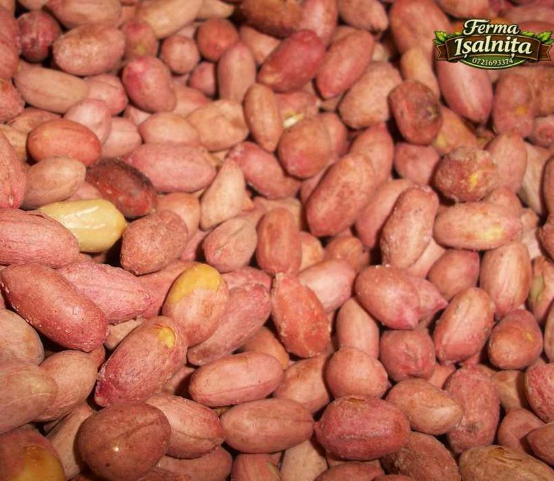 Semințe de alune de pământ arahide