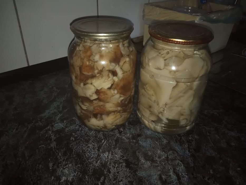 Продам грибы  в литровых банках