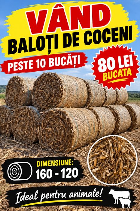 Vand baloti de coceni