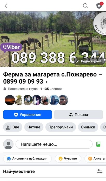 Магарешко мляко 20лв