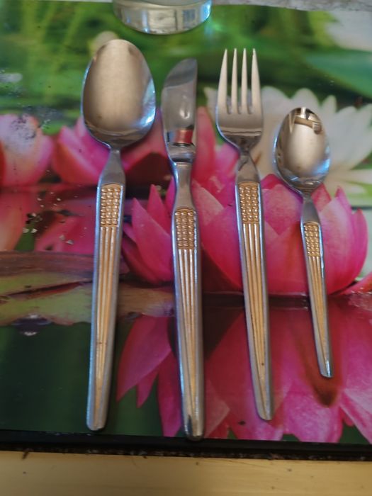 Tacimuri inox vechi cu model gravat de 50 ani.