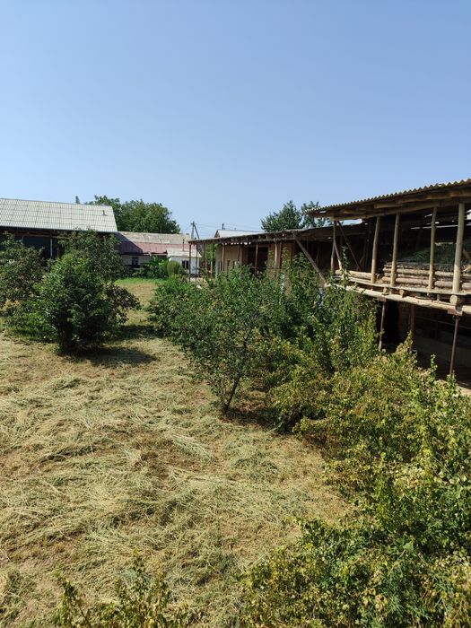 Toshkent viloyati qibray tumanida uy joy sotiladi