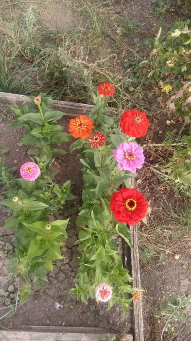 Продается дача на Федоровке