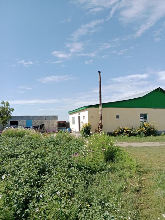 Продам дом Коянды