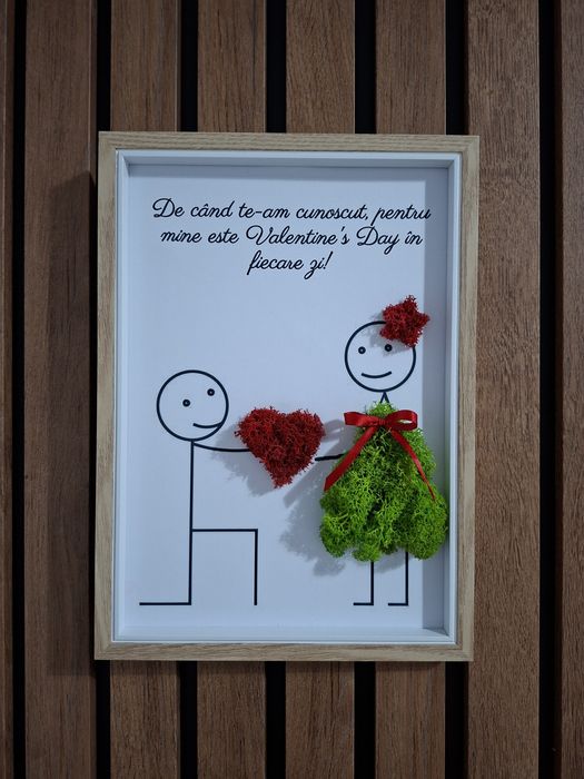 Colecție tablouri licheni