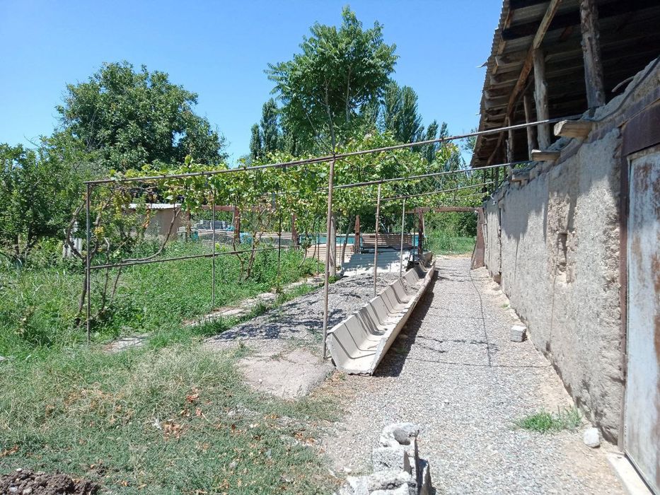 Uy hamda yer varıantga