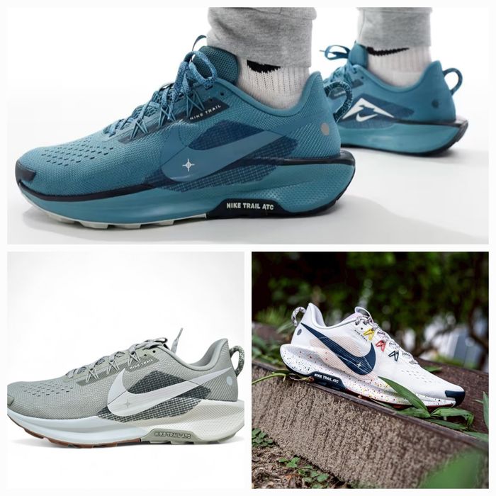 Nike Pegasus Trail 5