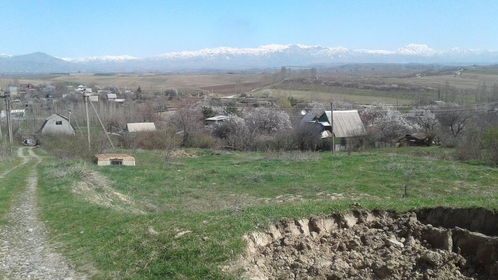 Участка дала ховли