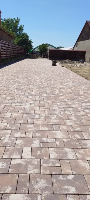 Montaj Pavele Constatare Gratuita