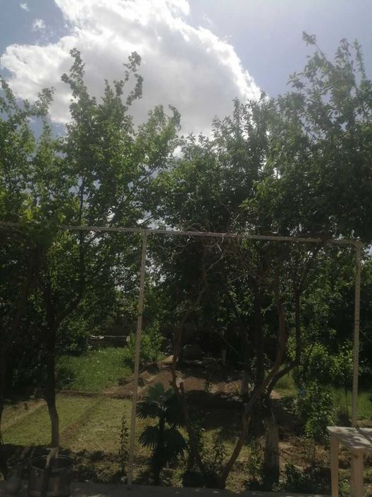 8 сотихли участка тез ва арзон  сотилади 5 микрайон, узбекон куч