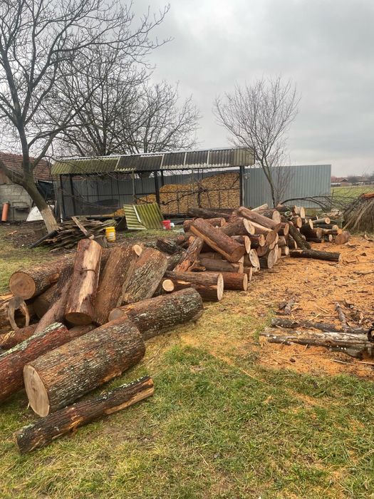 ‼️Lemne de foc si deșeuri la cele mai mici prețuri‼️