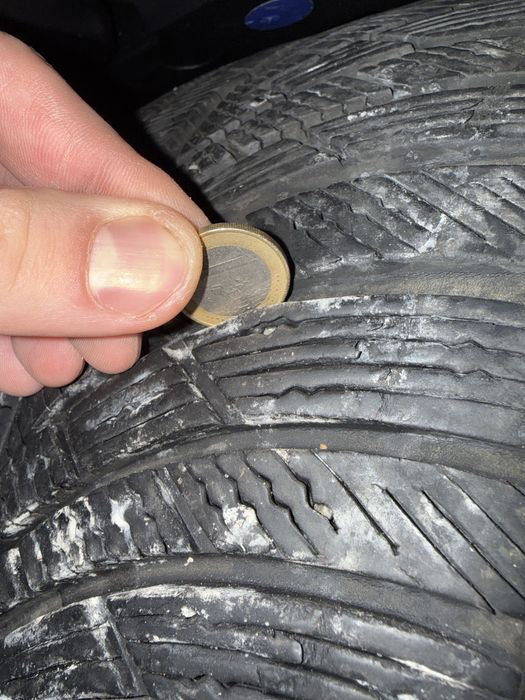 Michel Pilot Alpin зимни