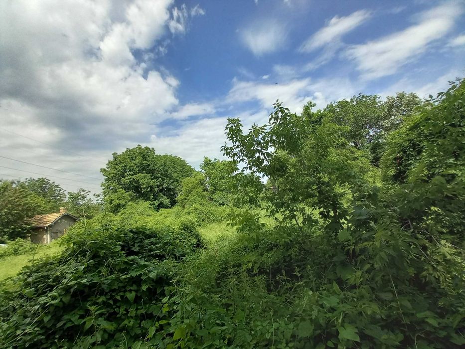 Продава се Парцел в Разград, Стефан Караджа - 2770 кв.м за 19 €/кв.м - Снимка #5