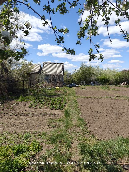 Продам Дачу Садоводство Здоровье