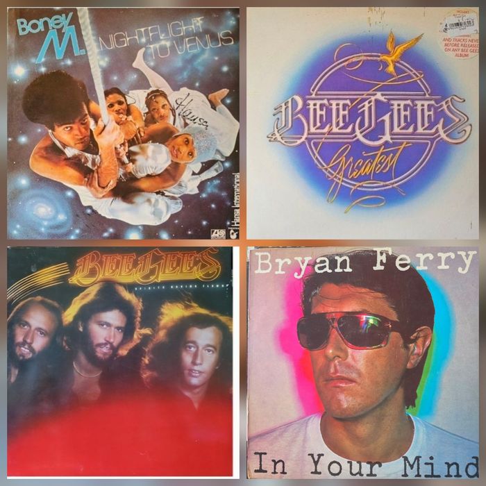 Discuri vinil (vinyl)