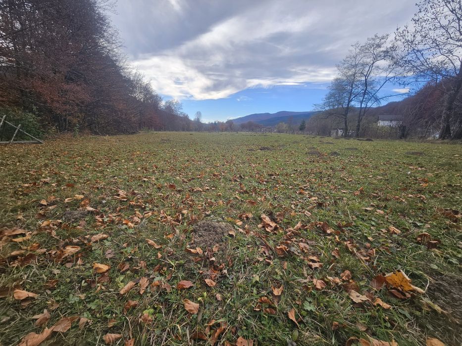 Teren  Valea Doftanei