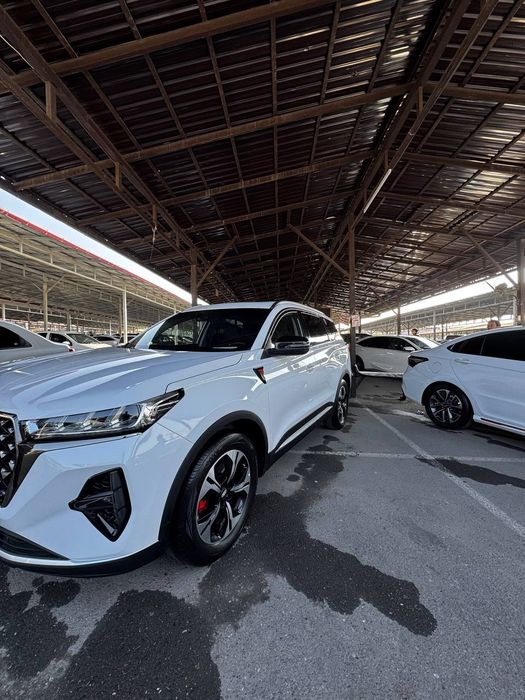 Самсун галахи 22