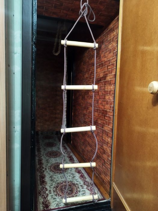 Лестница спортивная