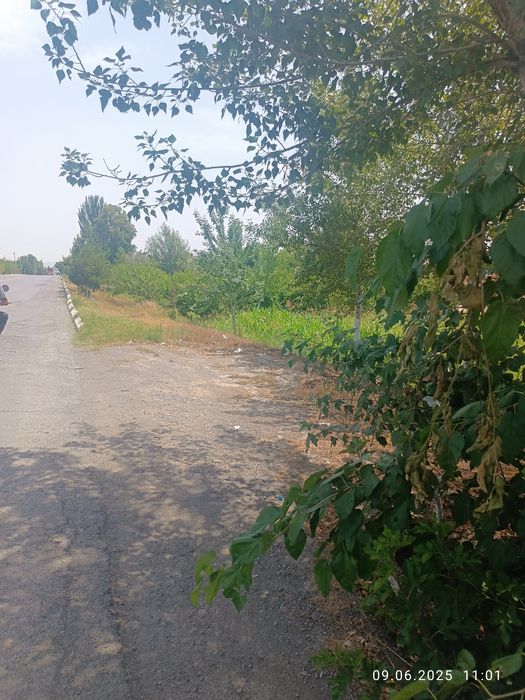 Ховли Уй сотилади. 10 сотих