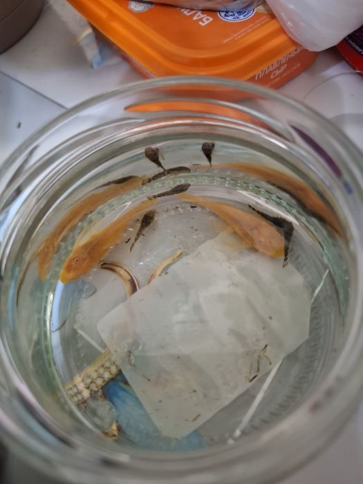 Продам аквариум на 80 литров