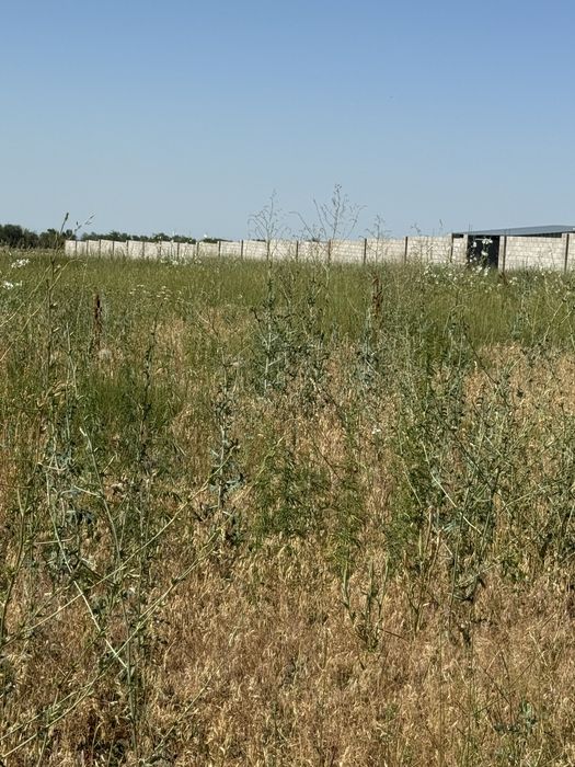 Продам К/Х ровный