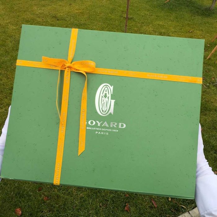 Goyard Artois PM Сумка