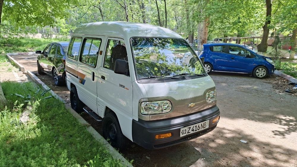 Пролаётся дамас 2012г