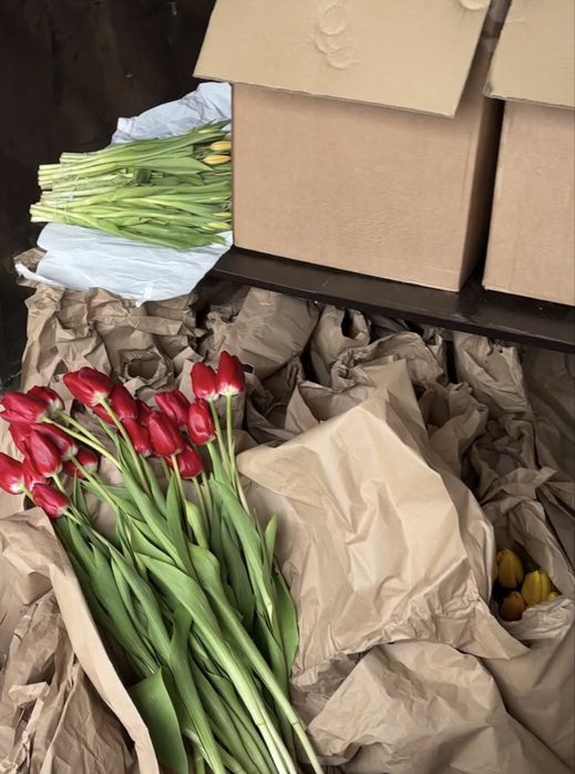 Премиальные тюльпаны 60-65 см