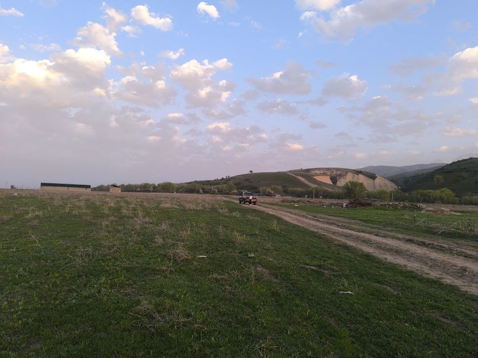 Сдам в аренду участок для посева