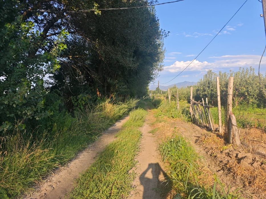 Земельный участок