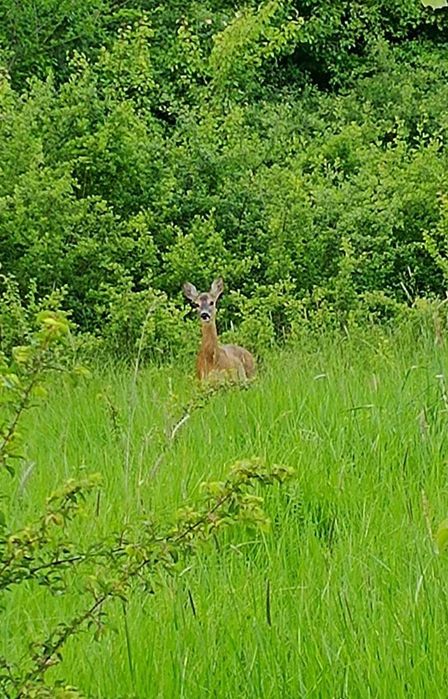 Продава се Къща в София, Център - 360 кв.м за 963 €/кв.м - Снимка #15