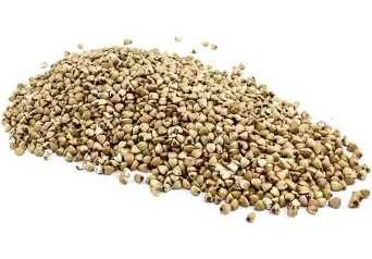 Hrișcă crudă verde,necoaptă,19 lei/kg