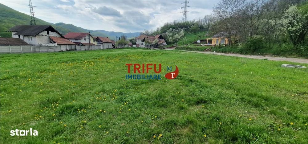 Teren de vis la liziera pădurii – liniște, natură și aer curat!