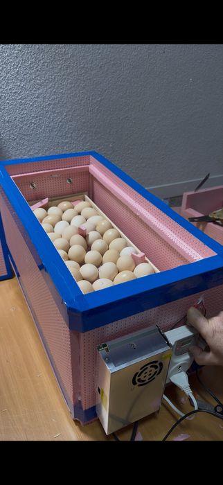 Инкубатор сотилади.