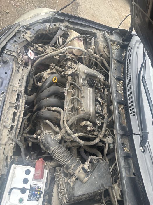 Машина Тойота королла