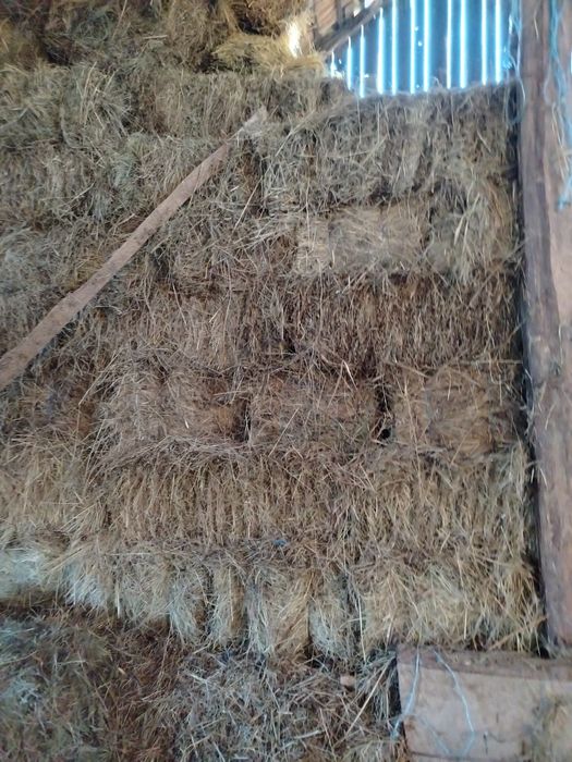 Baloți de fân de calitate