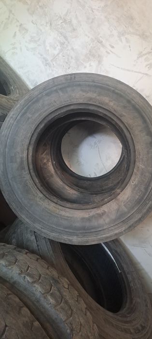 Isuzu bolon 17.5