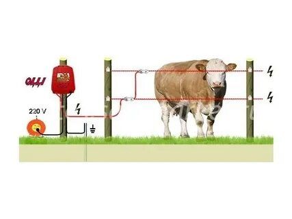 Электропастух для КРС