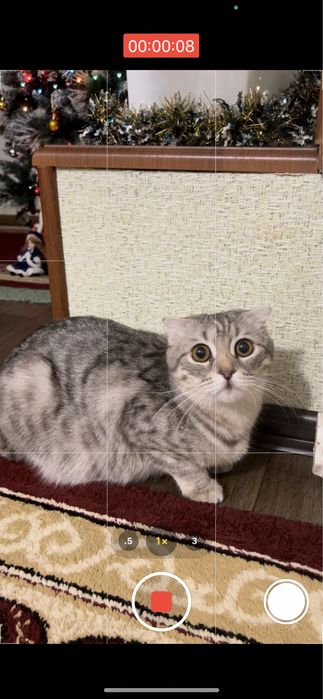 Отдам в добрые руки