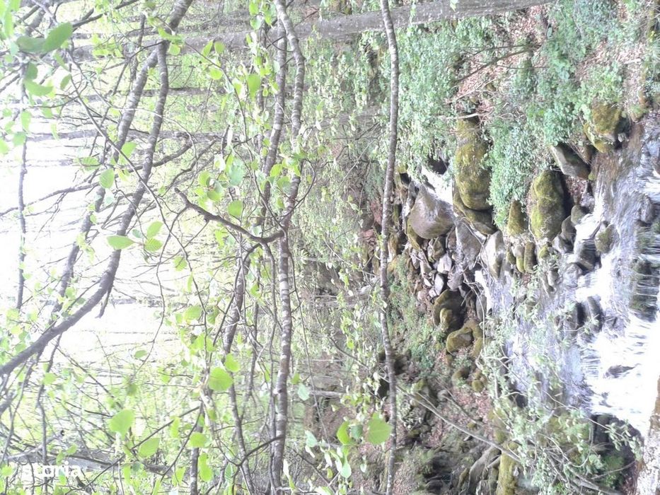 Proprietate rară în inima Retezatului – 5.700 mp teren intravilan