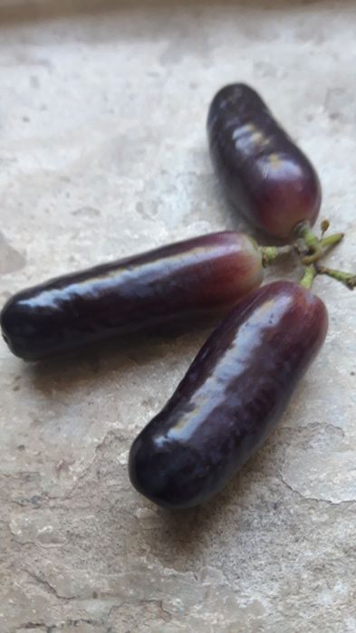 Avatar uzum nixoli. Donaksiz