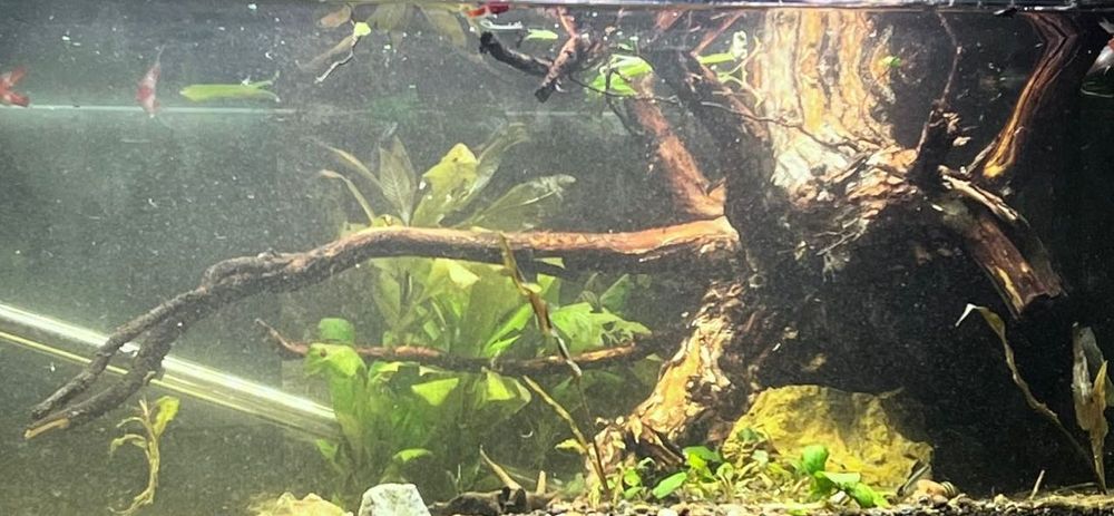 Коряга большая для аквариума