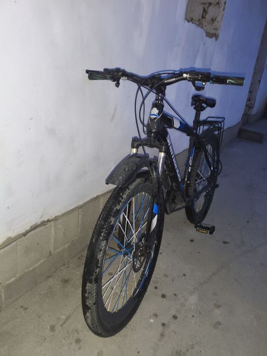 Velik sotiladi shimanoo