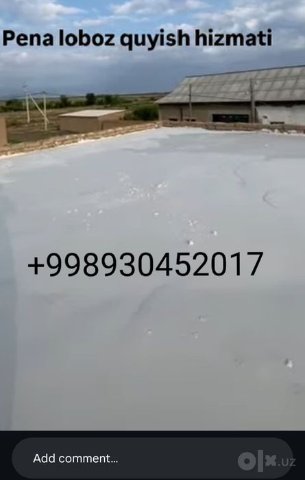 Tomga pena lomboz 5-6sm 35 ming so'mdan